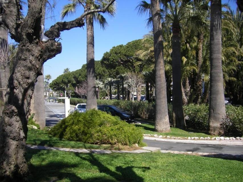 Karolina Properties - Appartement Commodore Croisette Κάννες Εξωτερικό φωτογραφία